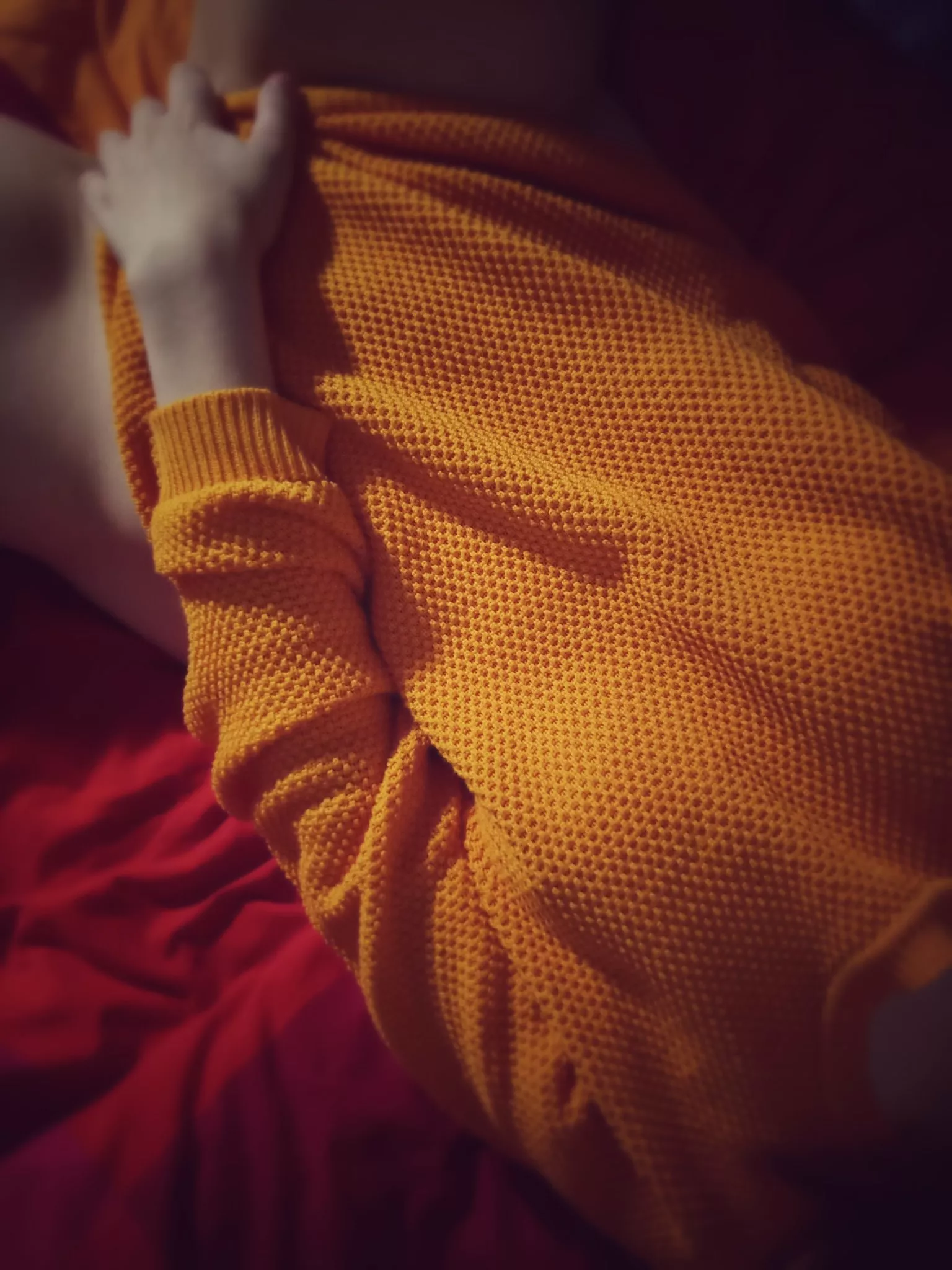 have a nice sunday y'all! [F] posted by Pristine-Focus74