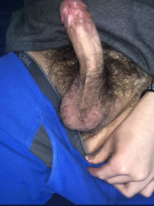 Have a nice Tuesday :) by Efficientvega