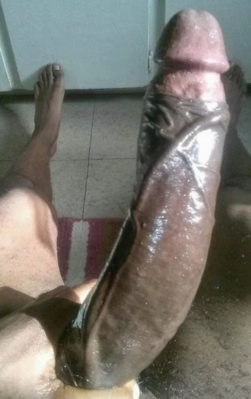 Have a seat 🍯 by New-guy99