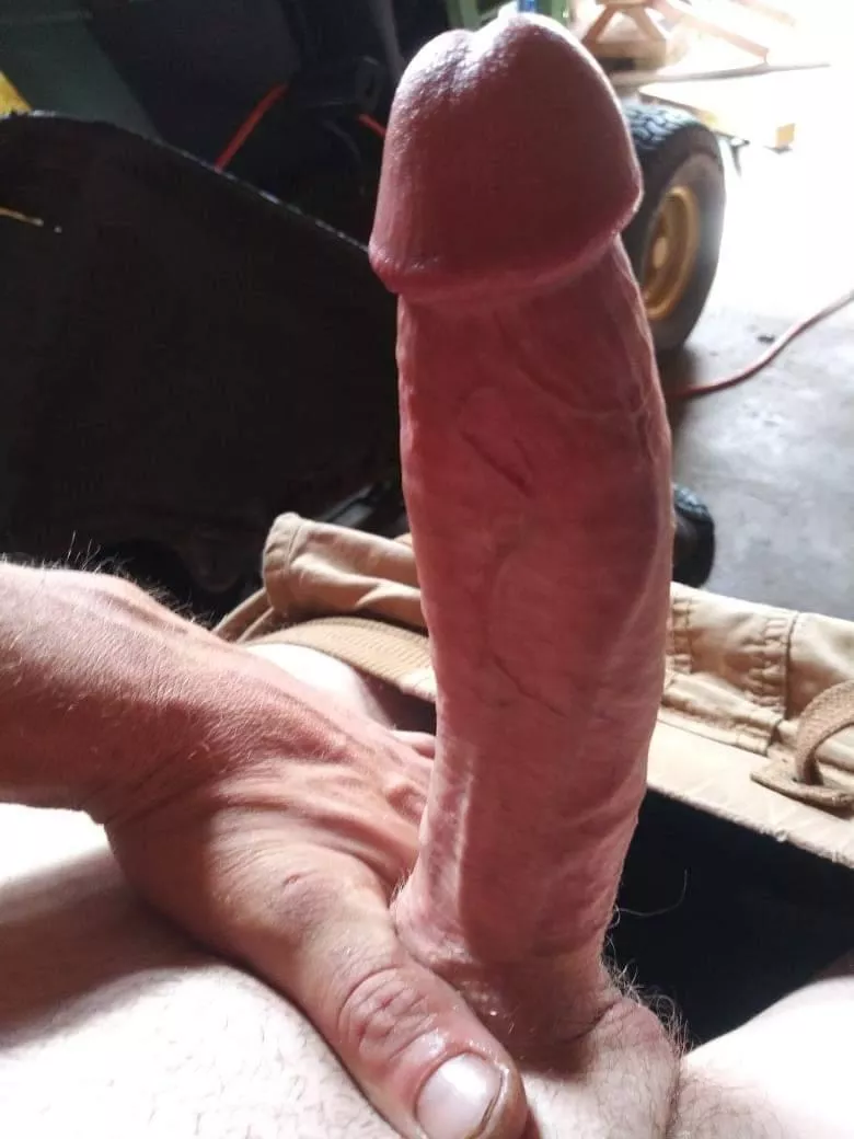 have a seat posted by wightboybigdick