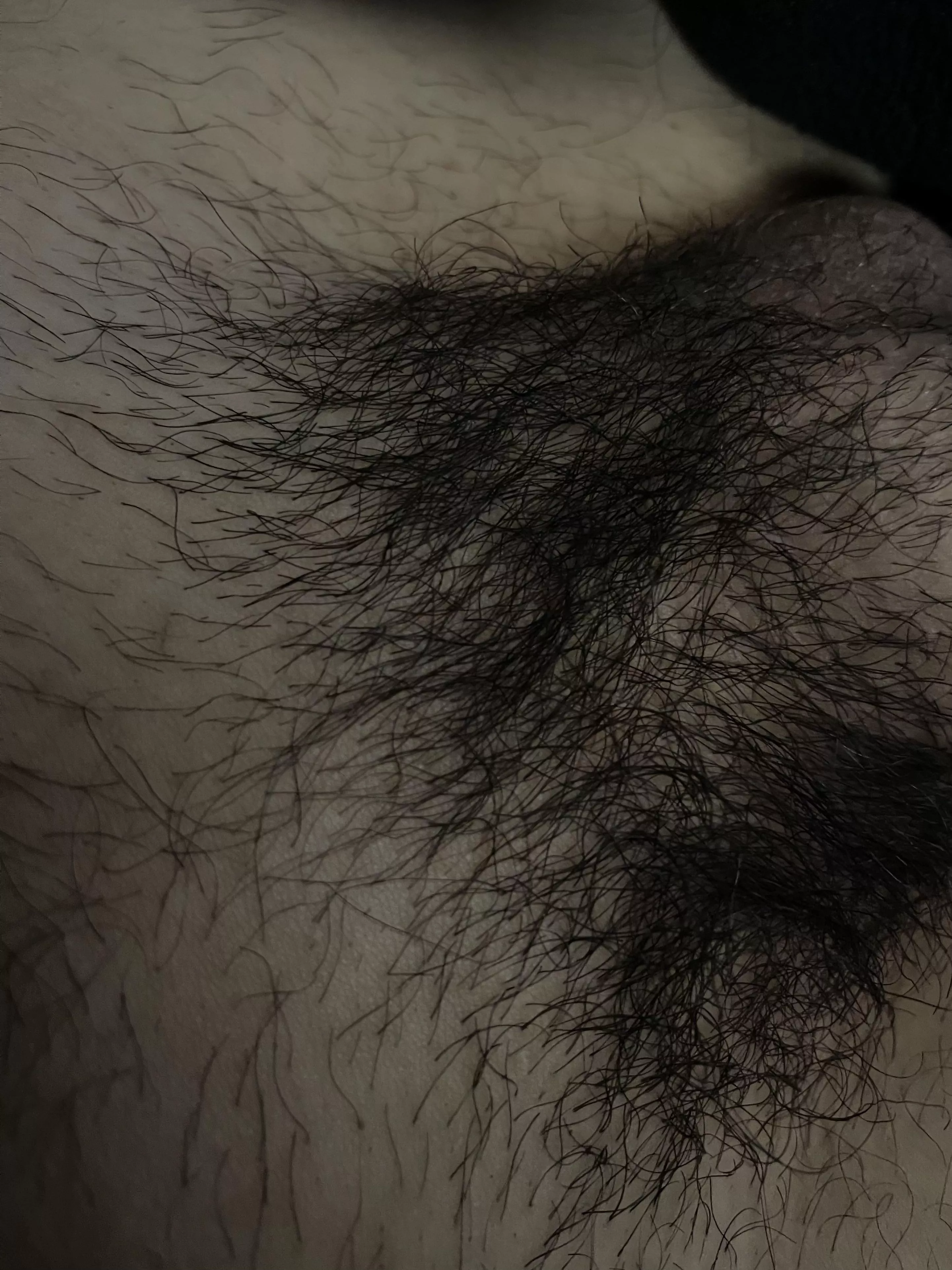 have been letting the pubic hair grow out again how’s it lookin?? posted by Adrianxx121