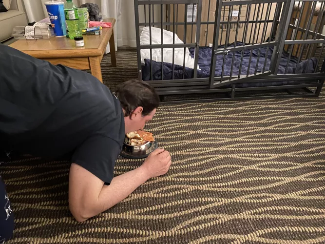 have you ever tried eating a sandwich with no hands?🤣🤣🤣🤭🤦🏻‍♀️ by dopefairyyy