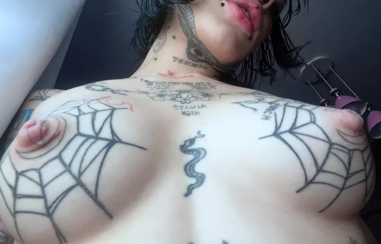 having B cup tits is way more interesting than having a big ass by VennusSativa