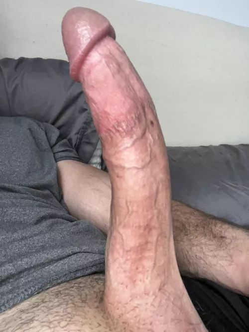 He needs some company. Any takers? Pms open by F_B_55