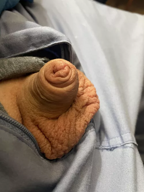 He says hi (40) by Friendly-Jacket-1793