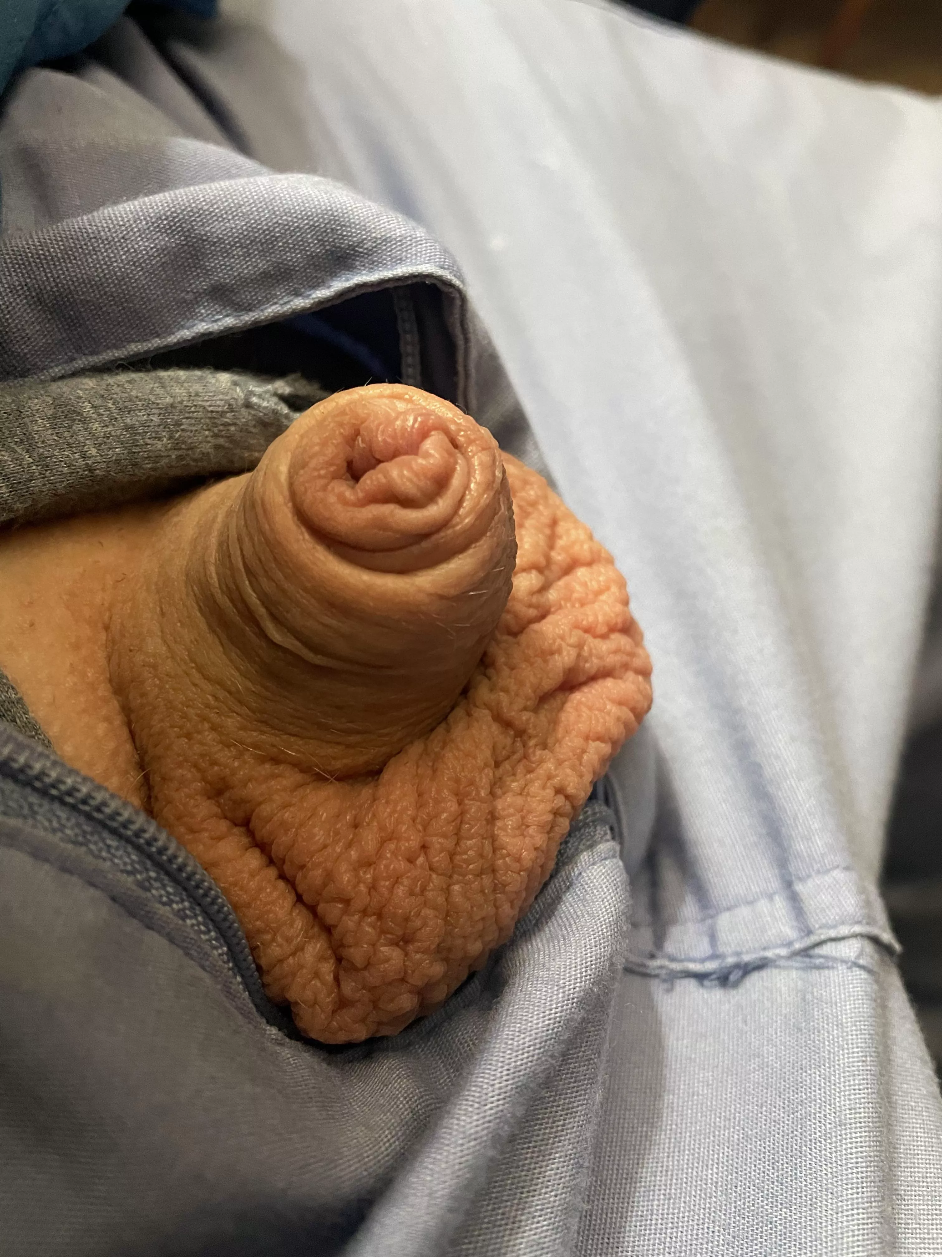 He says hi (40) posted by Friendly-Jacket-1793