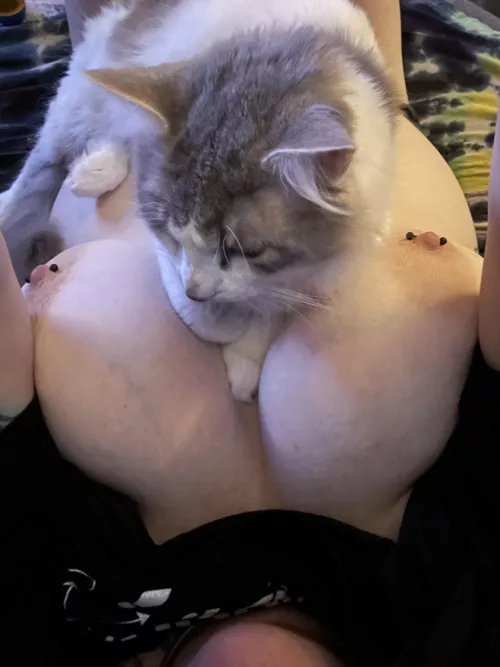 He wouldn’t move for the photo 🤷🏻‍♀️ by the_disposable_girl