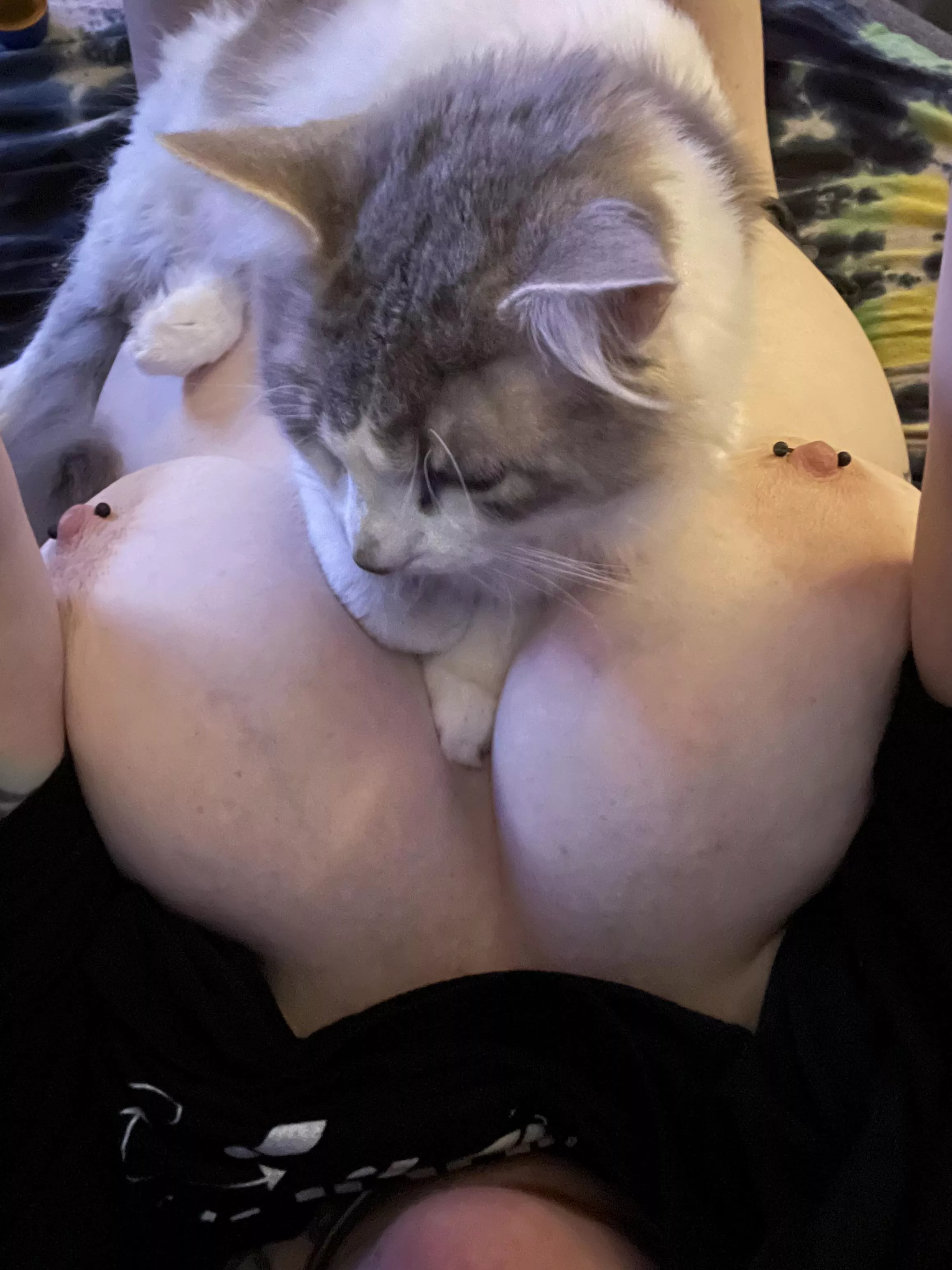 He wouldn’t move for the photo 🤷🏻‍♀️ posted by the_disposable_girl