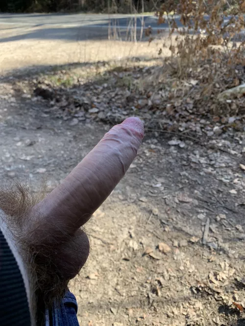 Head that way! by Hey213ey54