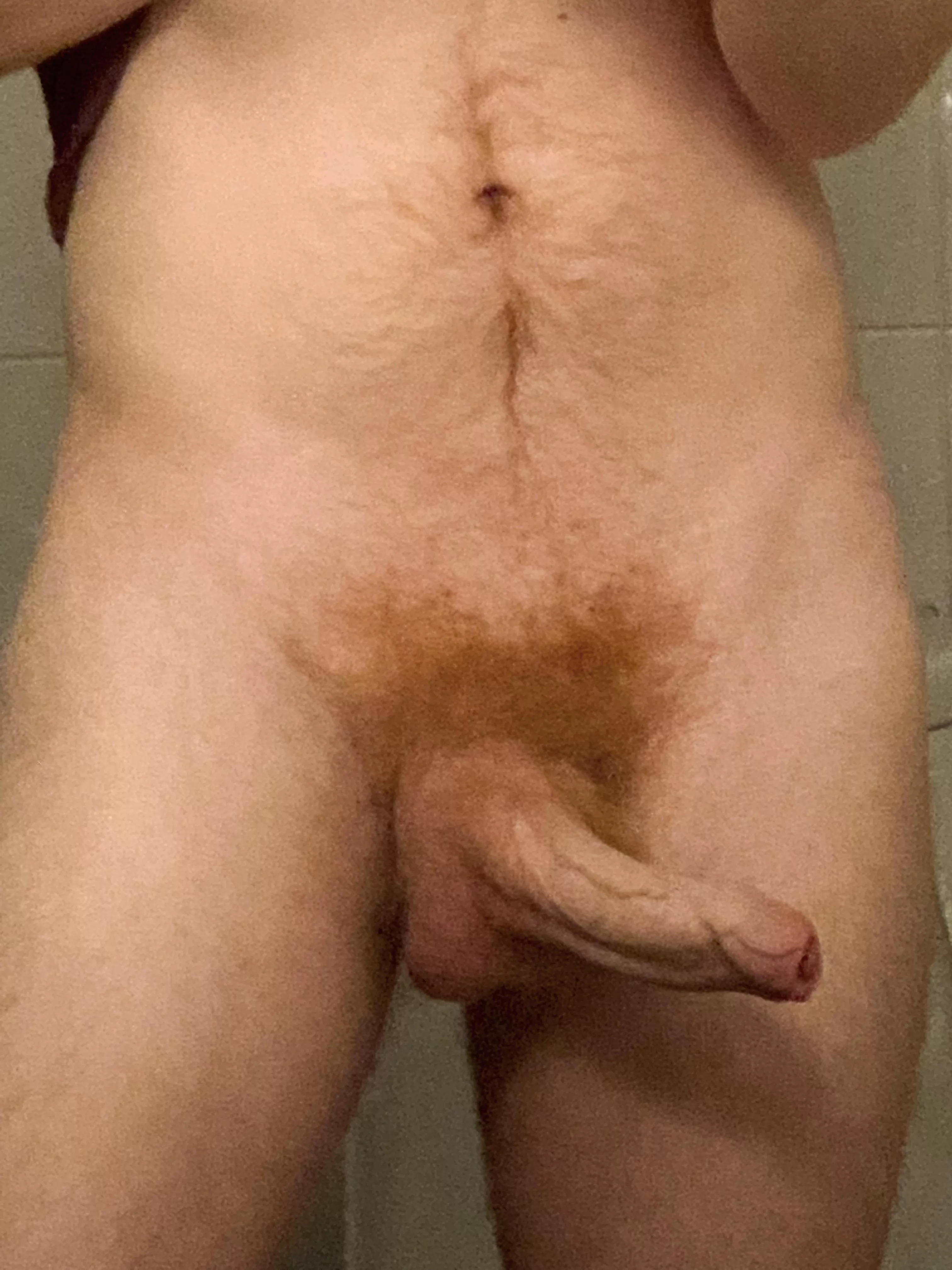 Heard you guys like ginger dick posted by TrackAlternative9888