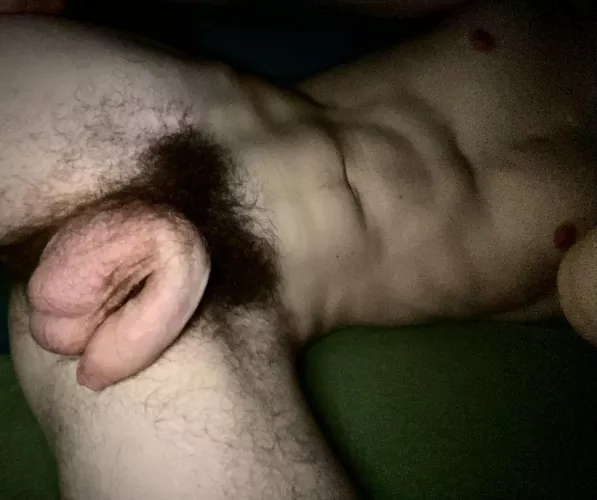 Heavy pubes around a soft uncut dick by Evenfealds