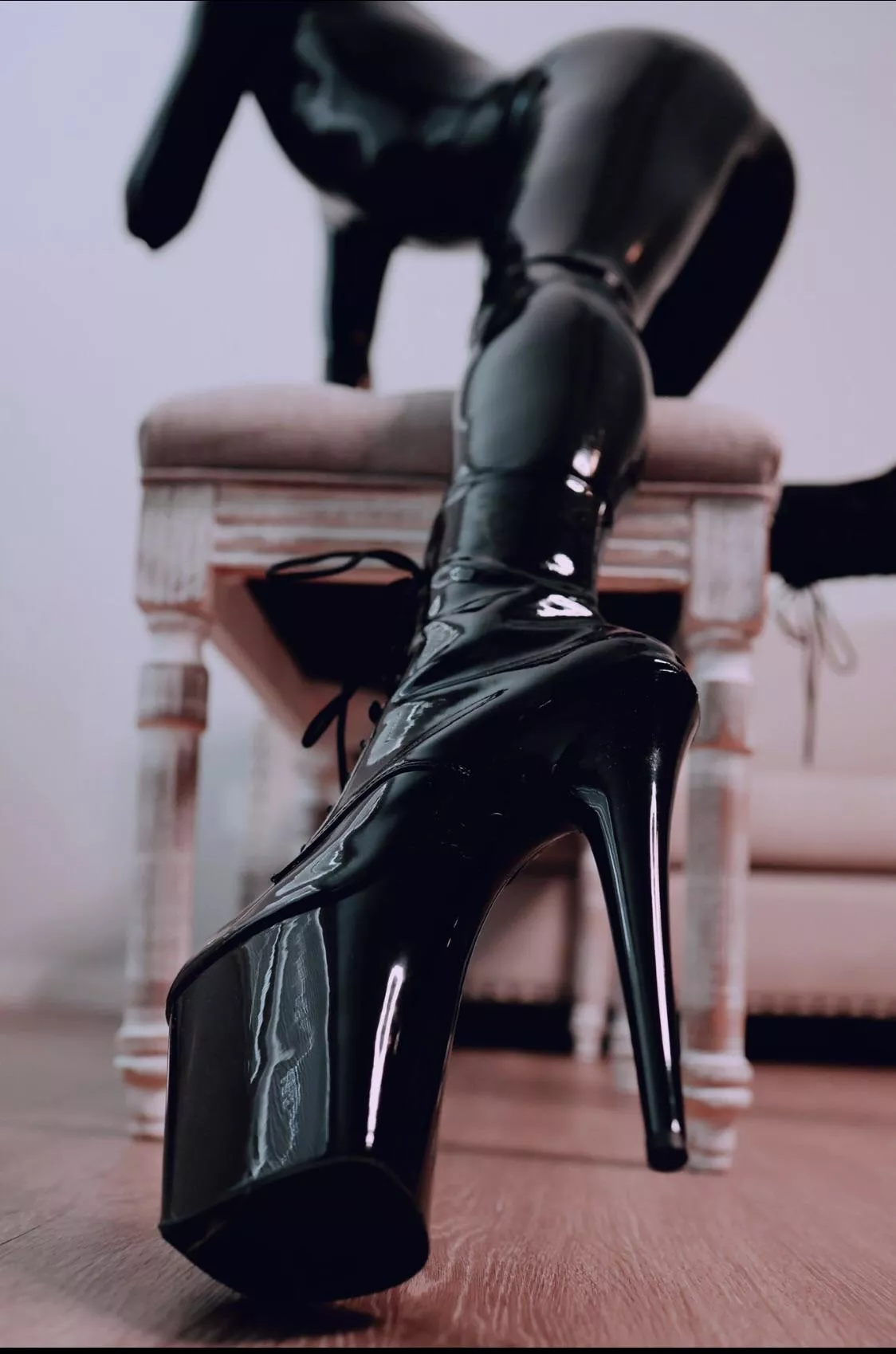 Heel bitch. Good pet. posted by NightmareInHeels90