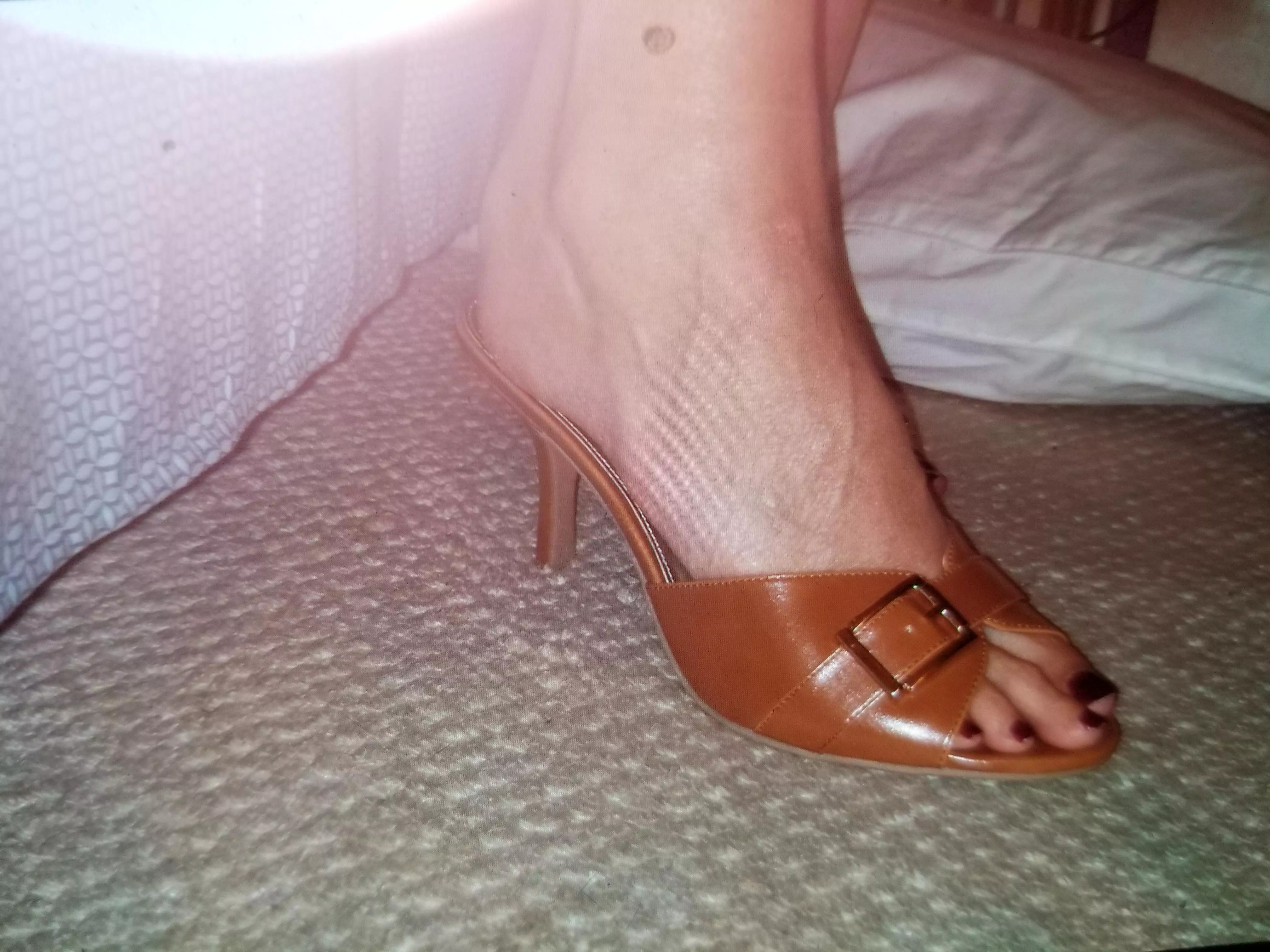 heel season is coming back, who hoo posted by Ill_Date5367