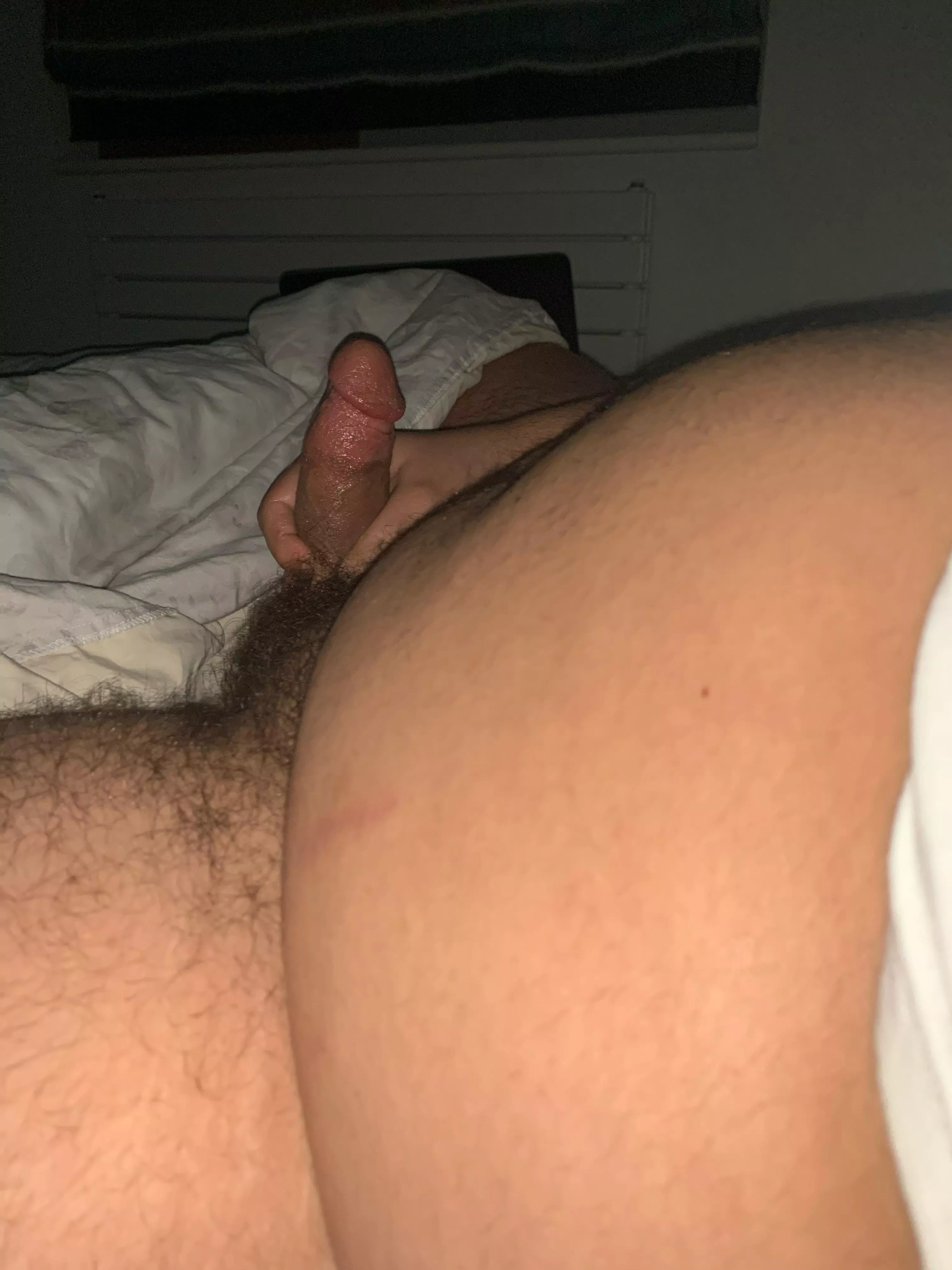 Hefty young bear posted by Babyabe_2