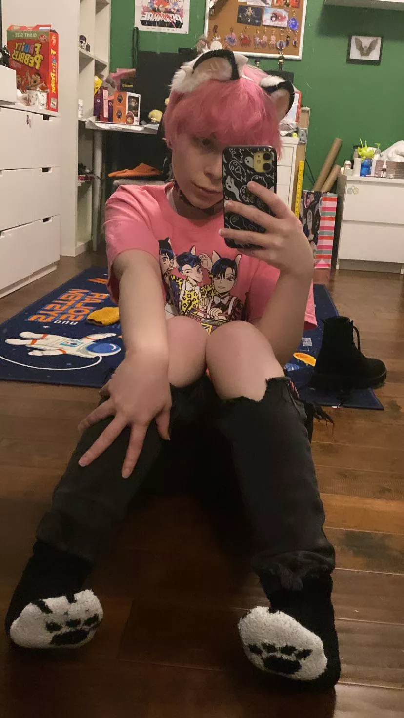 hehe think u can guess how tall I am? 🐱 posted by Hunchbackcat