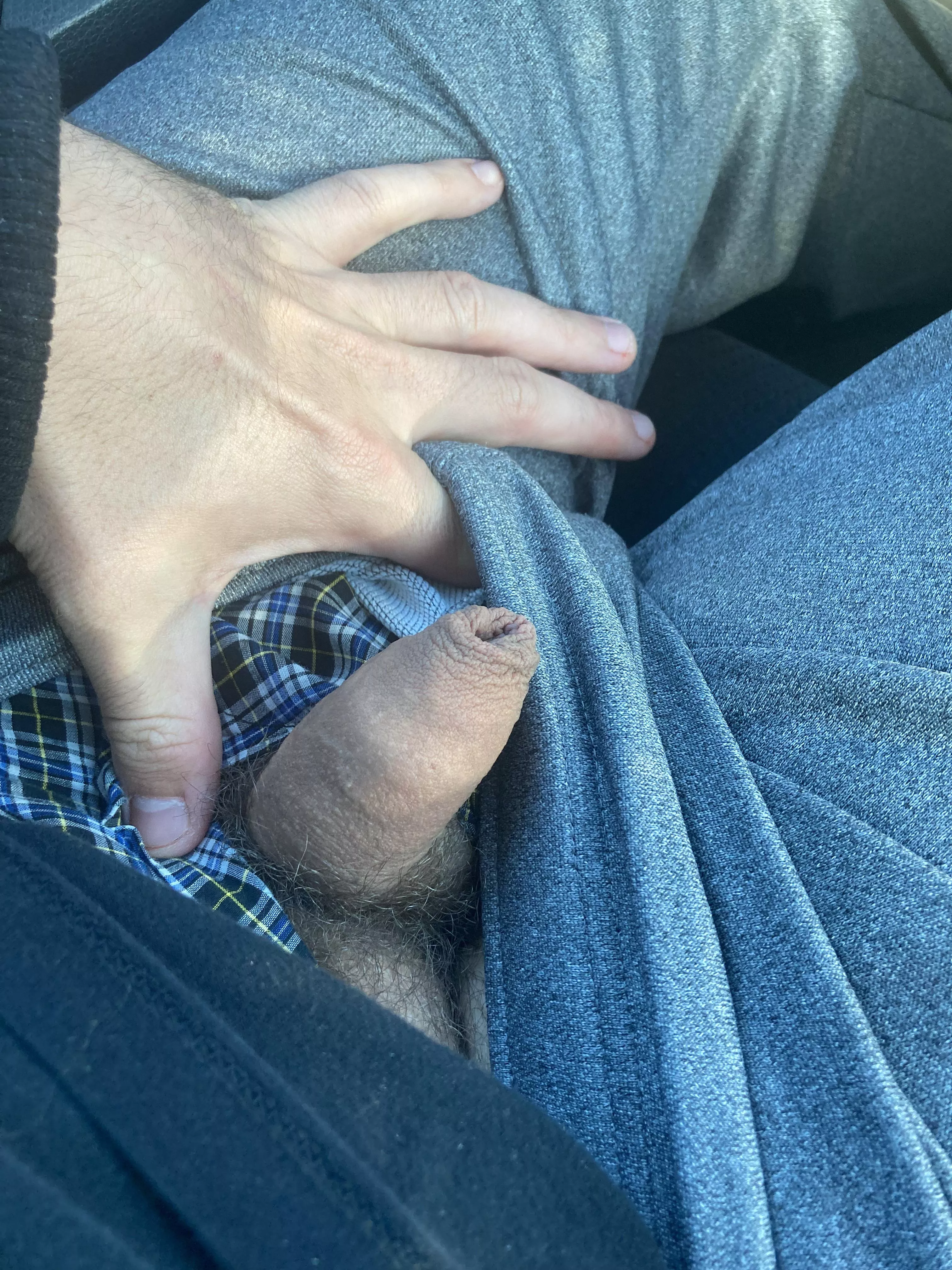 Hello (29) posted by Comfortable-North539