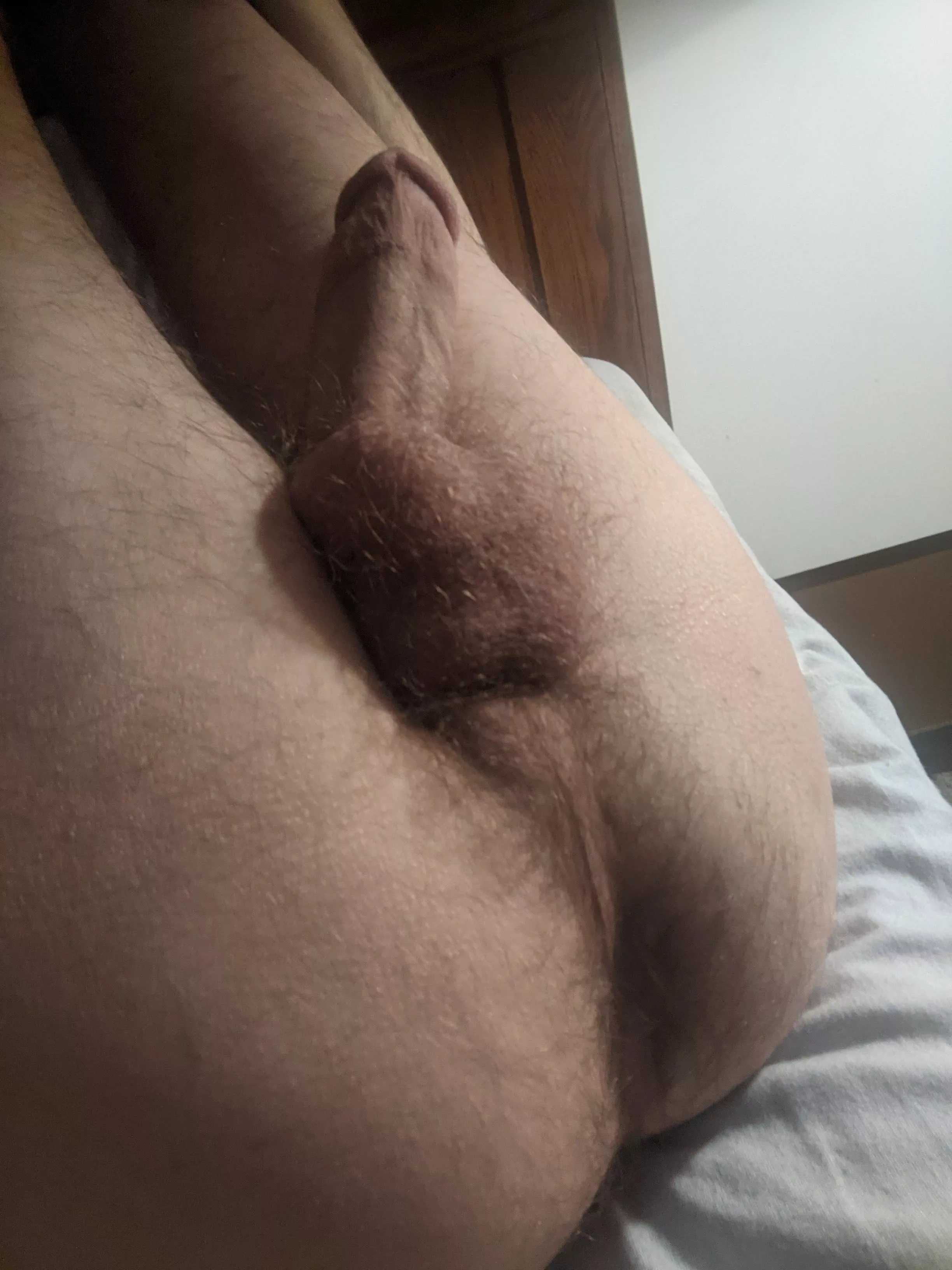 Hello posted by Willington_Satherby