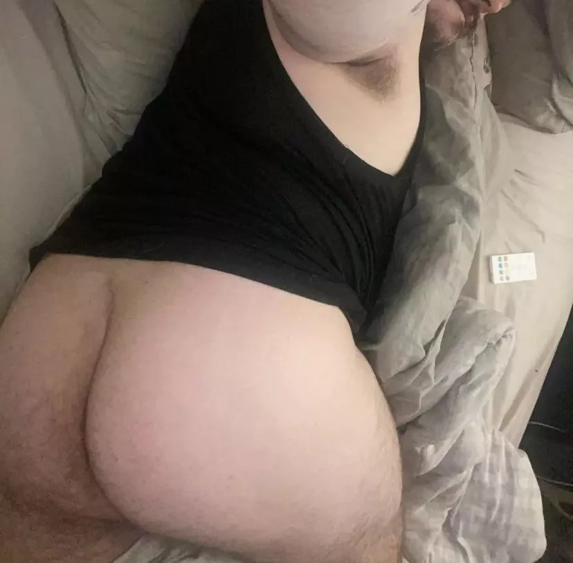 Hello bears! posted by johnofarc-