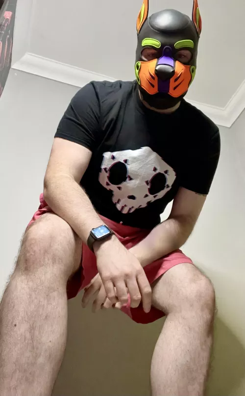 Hello down there 👋🏼 Woof! by Pupspencer