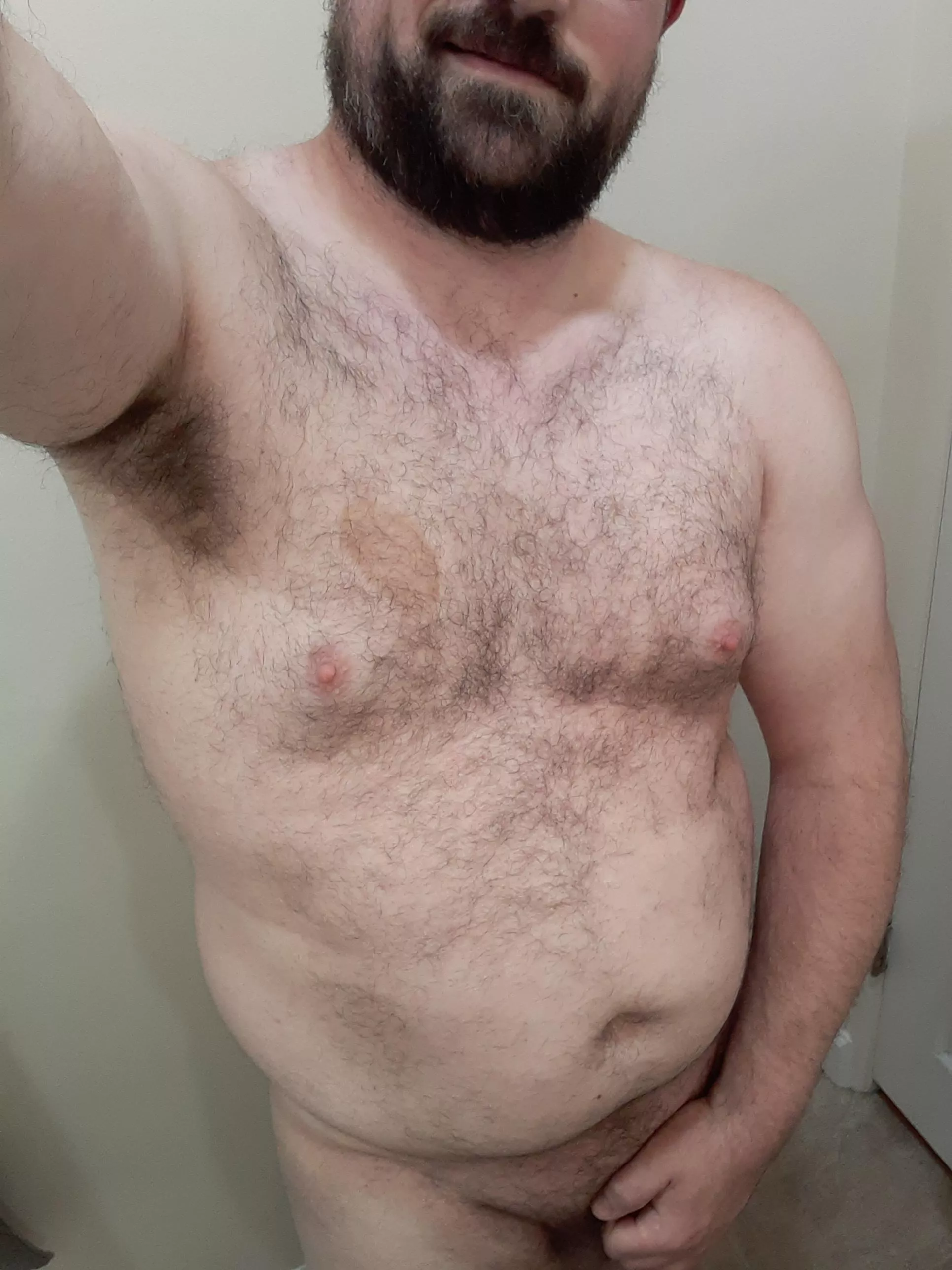 hello fellas posted by m_renard