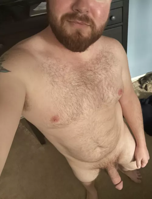 Hello fellow bears by rushrocker90