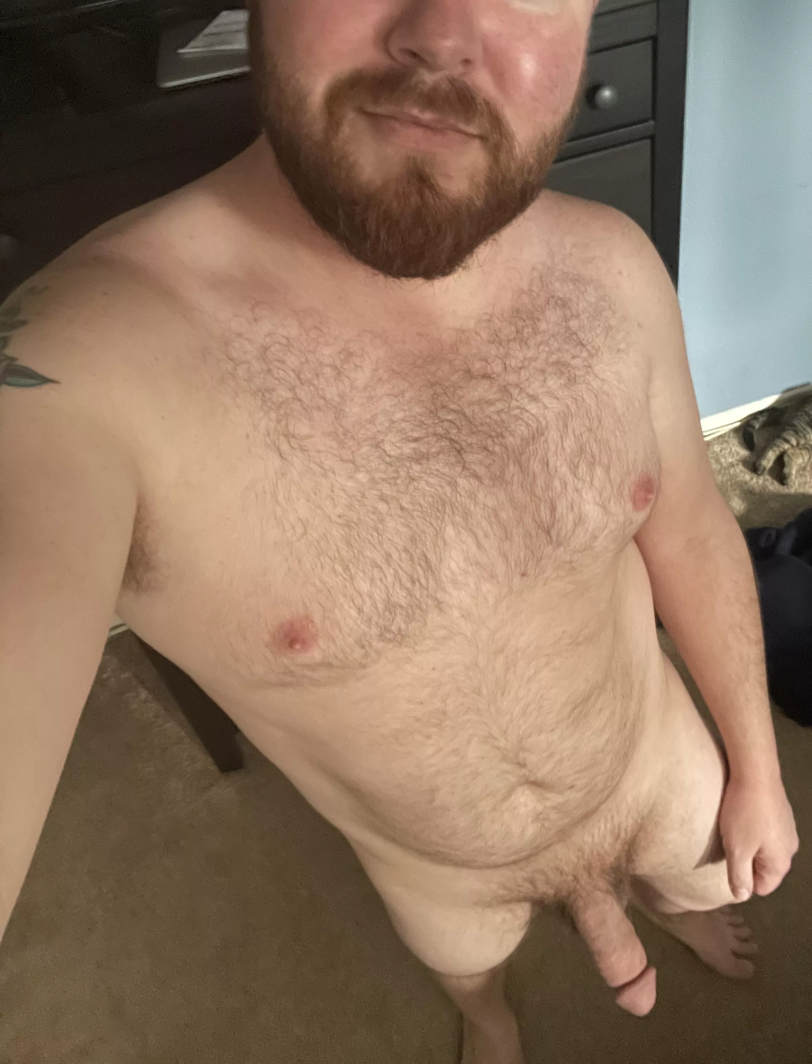 Hello fellow bears posted by rushrocker90