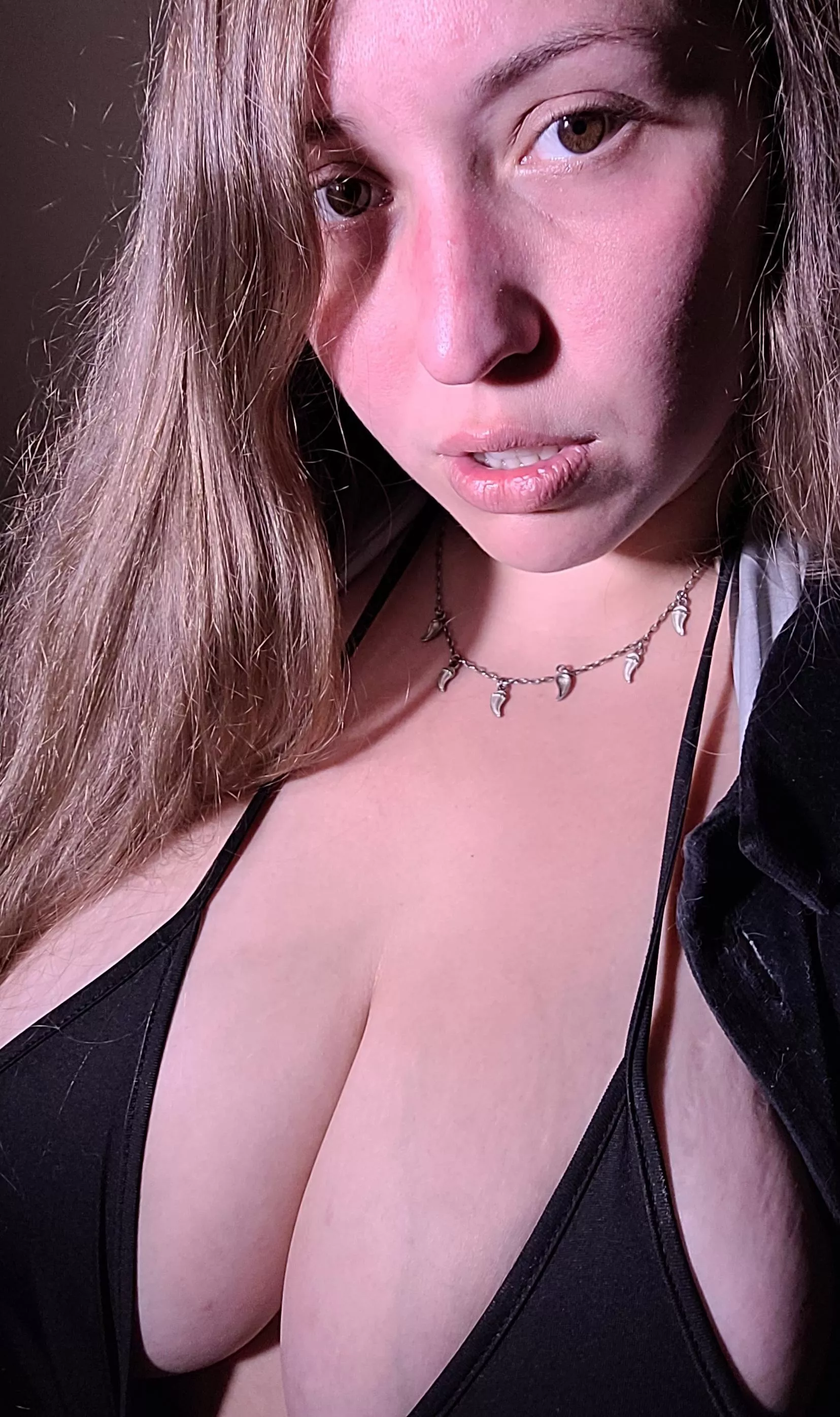 hello from Brasil posted by Ferdiz