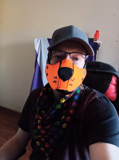 hello im a new pup by skythedutchy