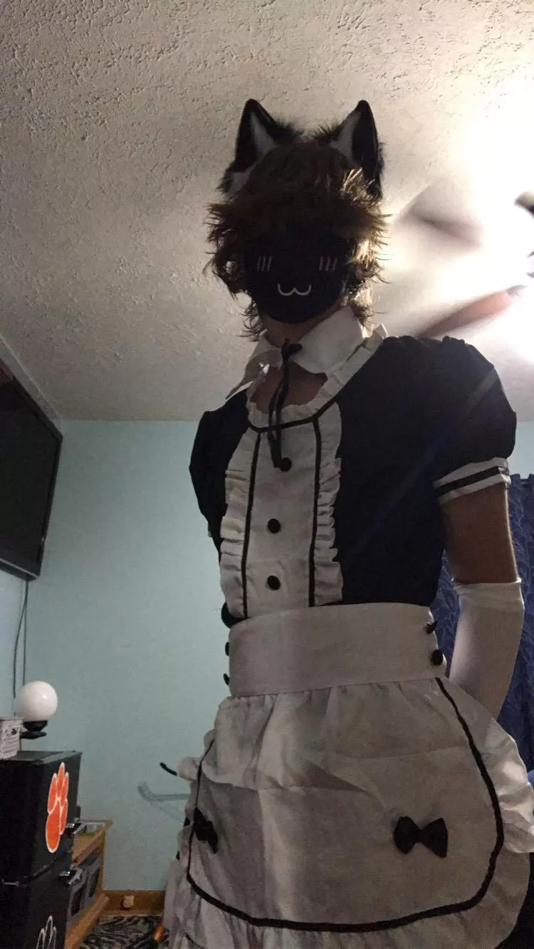 “hello i’m the new maid” posted by degenerate_filth04
