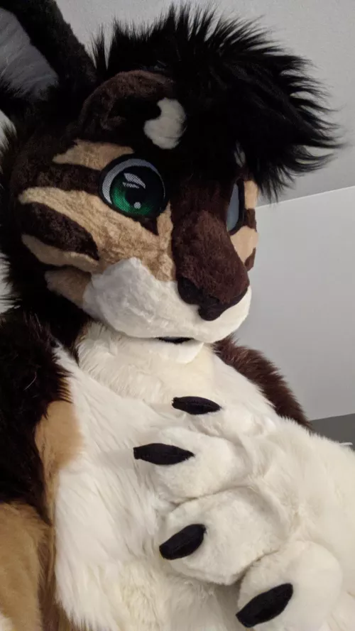 Hello! I’ve been lurking here for a while but I’m finally posting something for Fursuit Friday by Jack_Cabbit