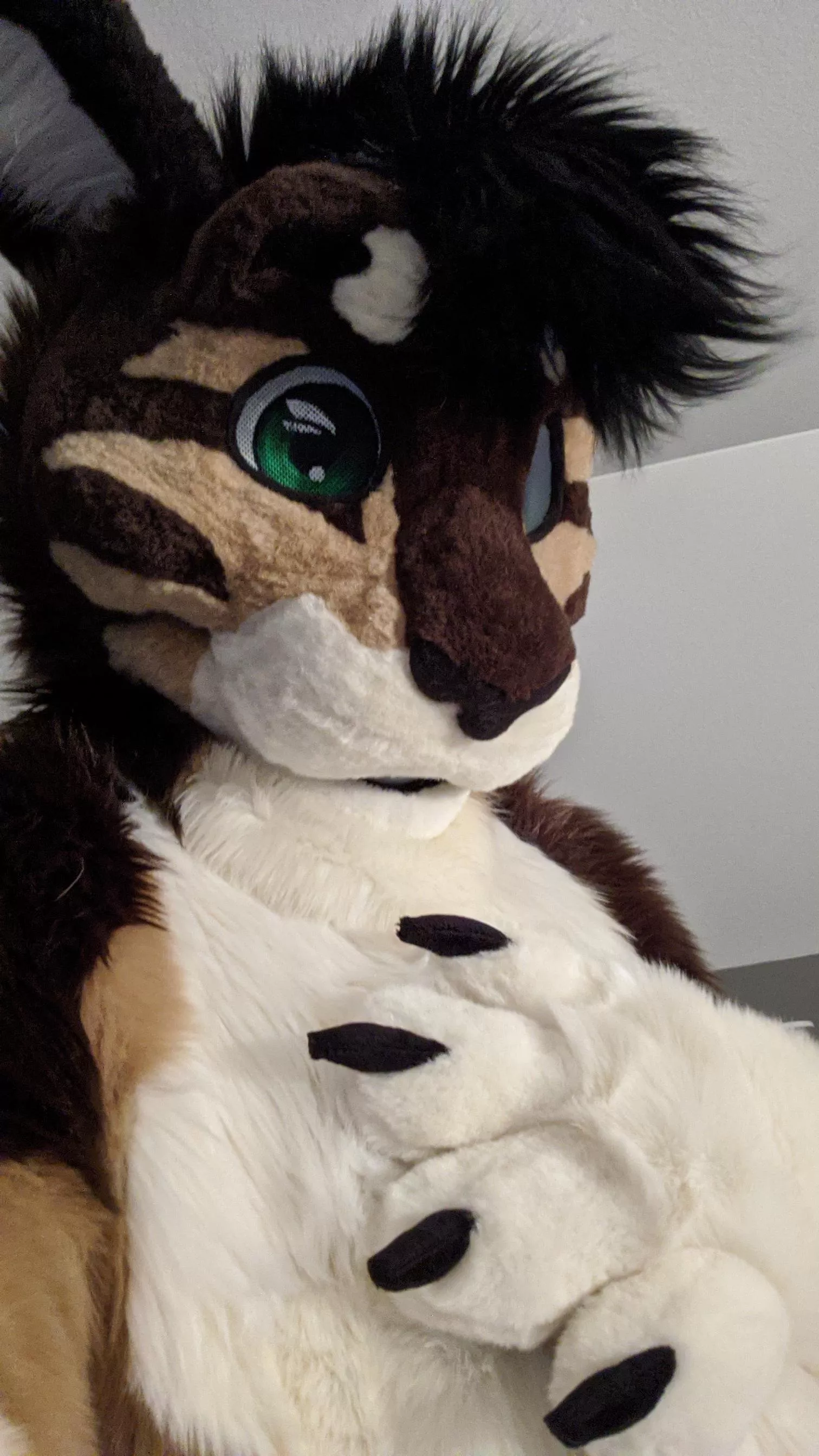 Hello! I’ve been lurking here for a while but I’m finally posting something for Fursuit Friday posted by Jack_Cabbit