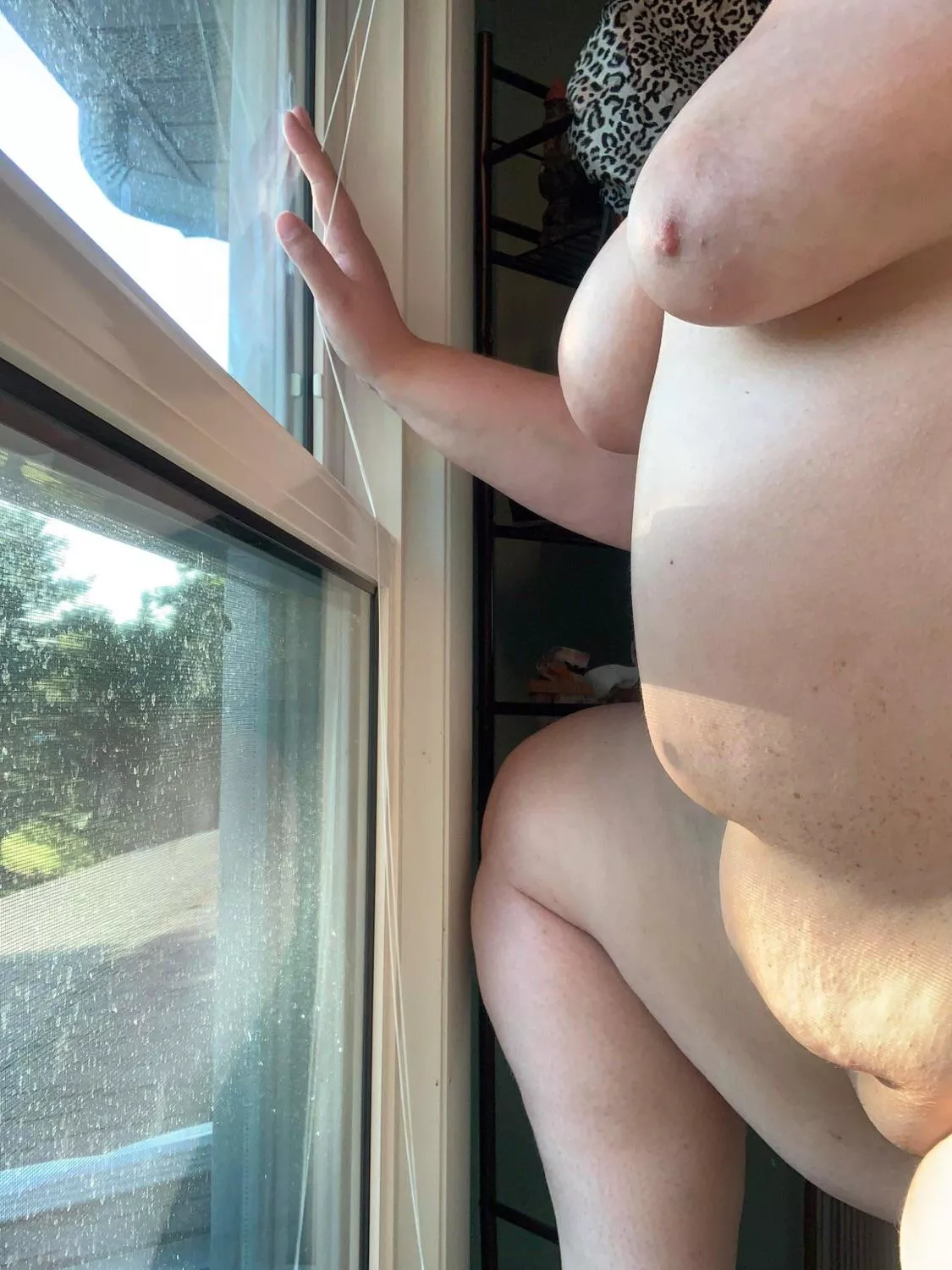 Hello neighbors! posted by lonesomewolf007