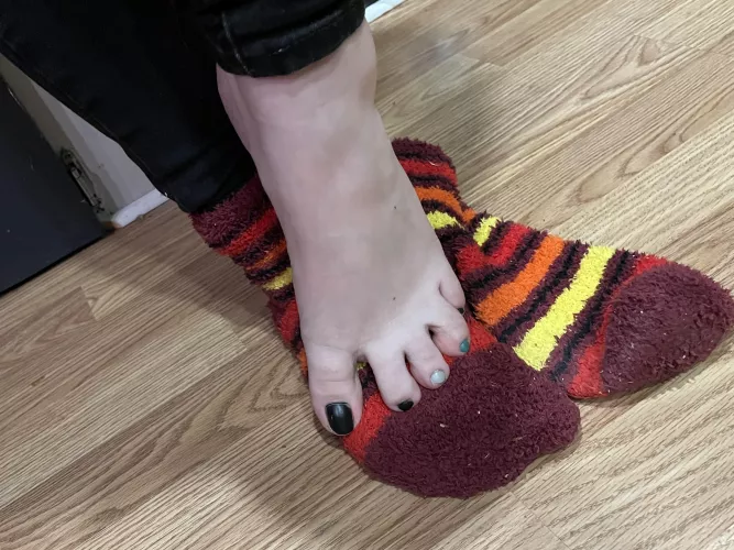 Hello :) by JennysPerfectPaws