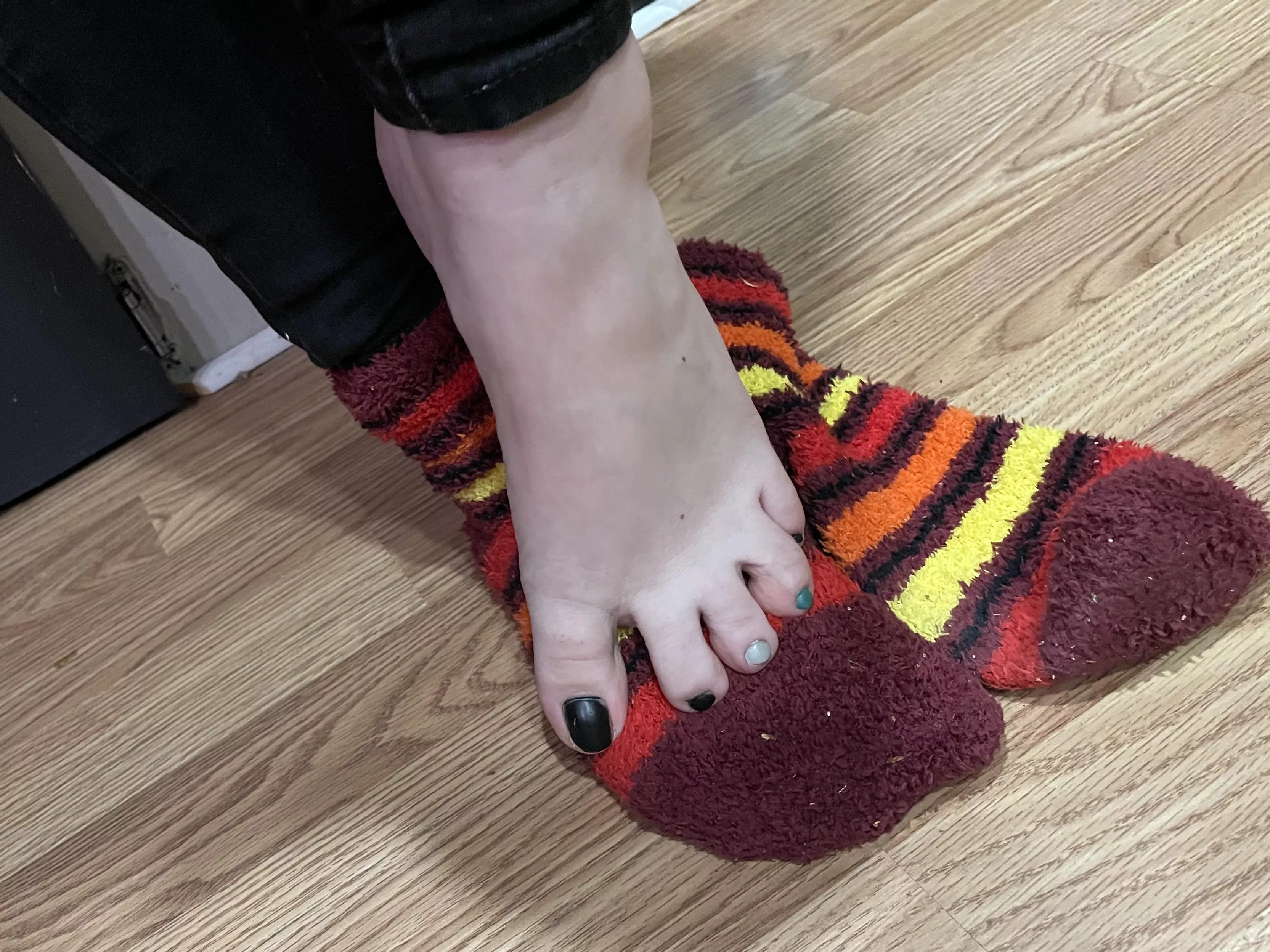 Hello :) posted by JennysPerfectPaws