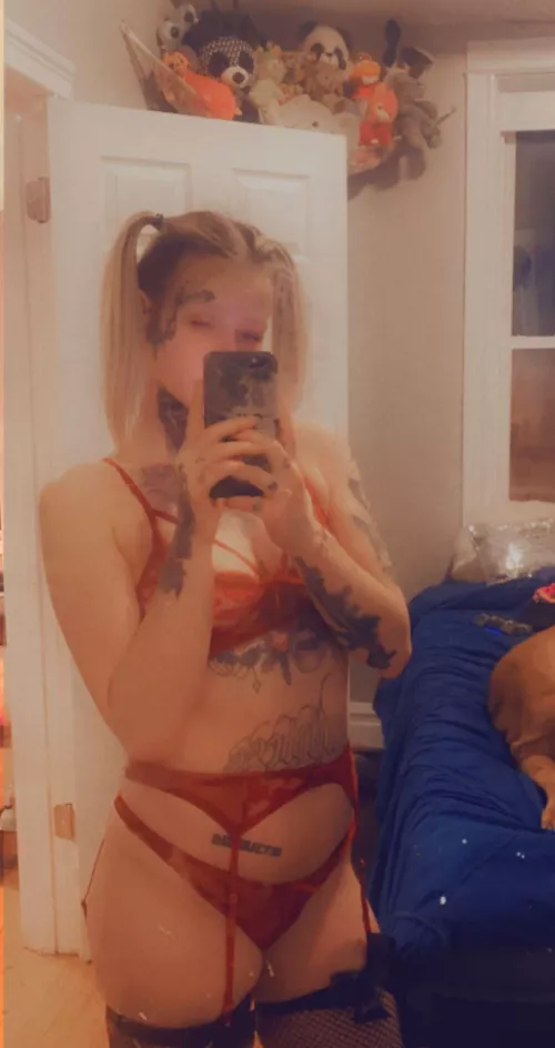 Hello 👋 by Catsandcars_187