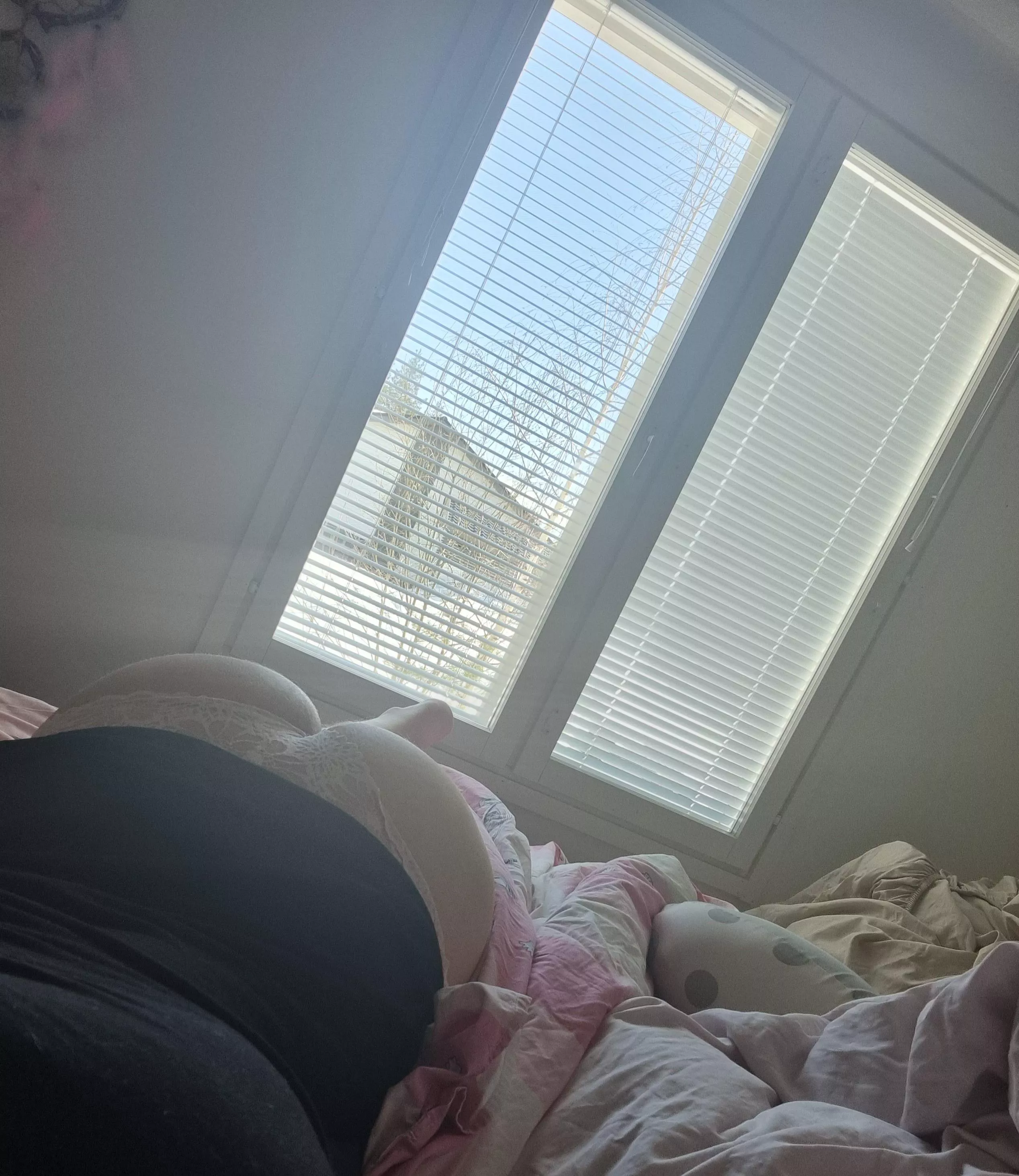 Hello! posted by BumblebeePractical51