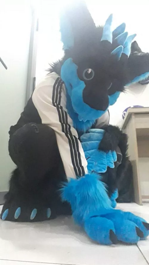 Hello there! by No_Pangolin1300