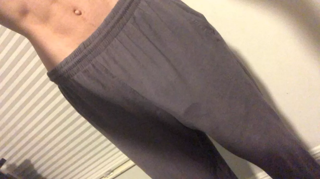 Hello there, first post here! posted by Fancy_Donut4783