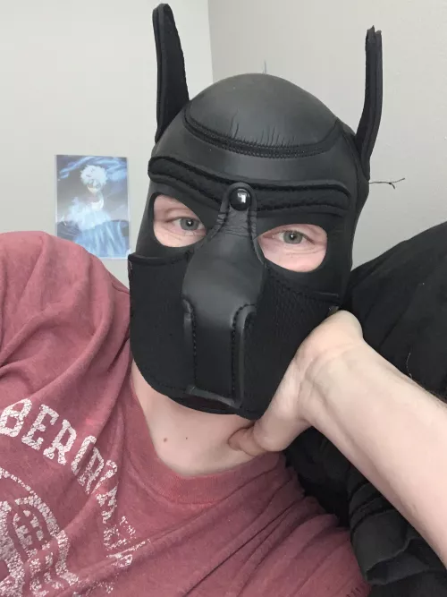 Hello there? Sniff here often? by Ok_Welcome_159