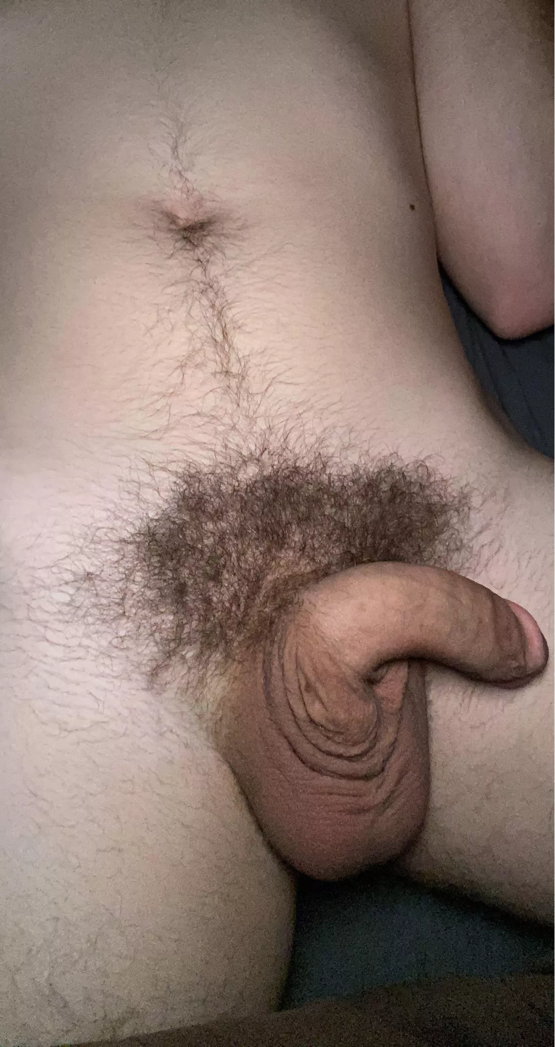 Help me out (18) posted by Phenix73