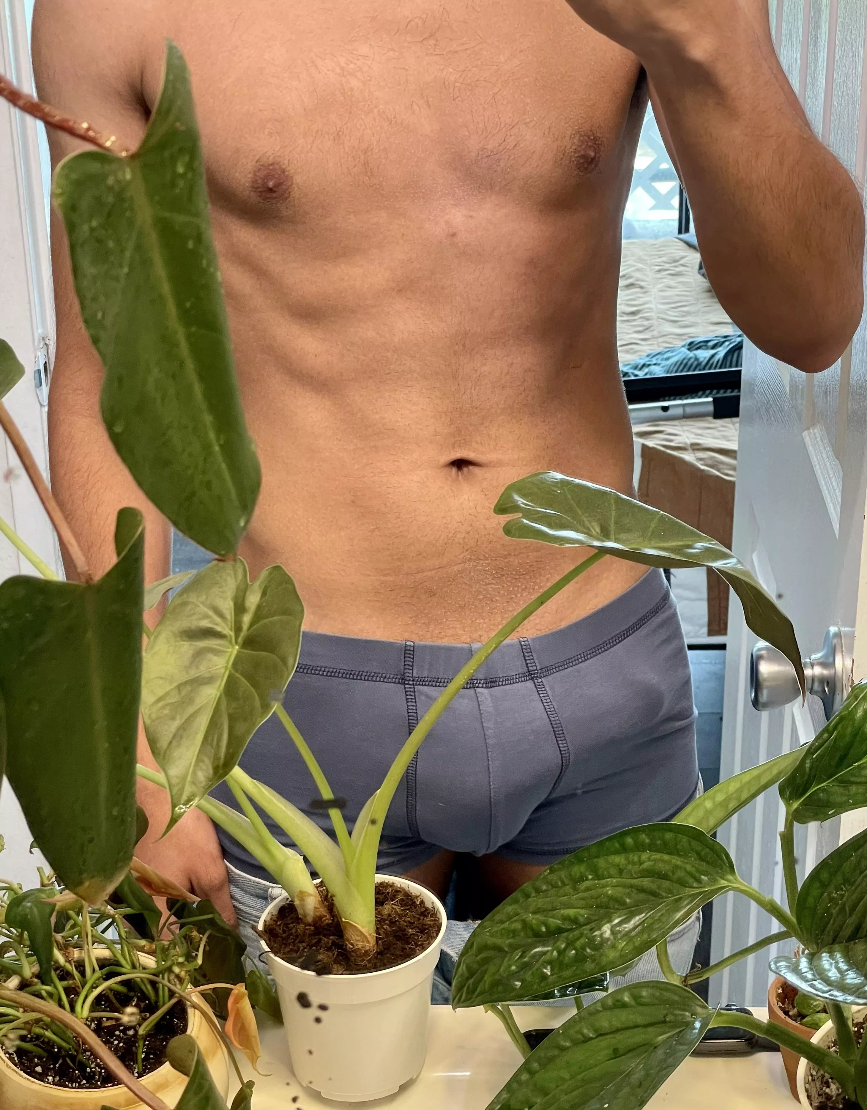 Help me take care of it? posted by ho_adjacent