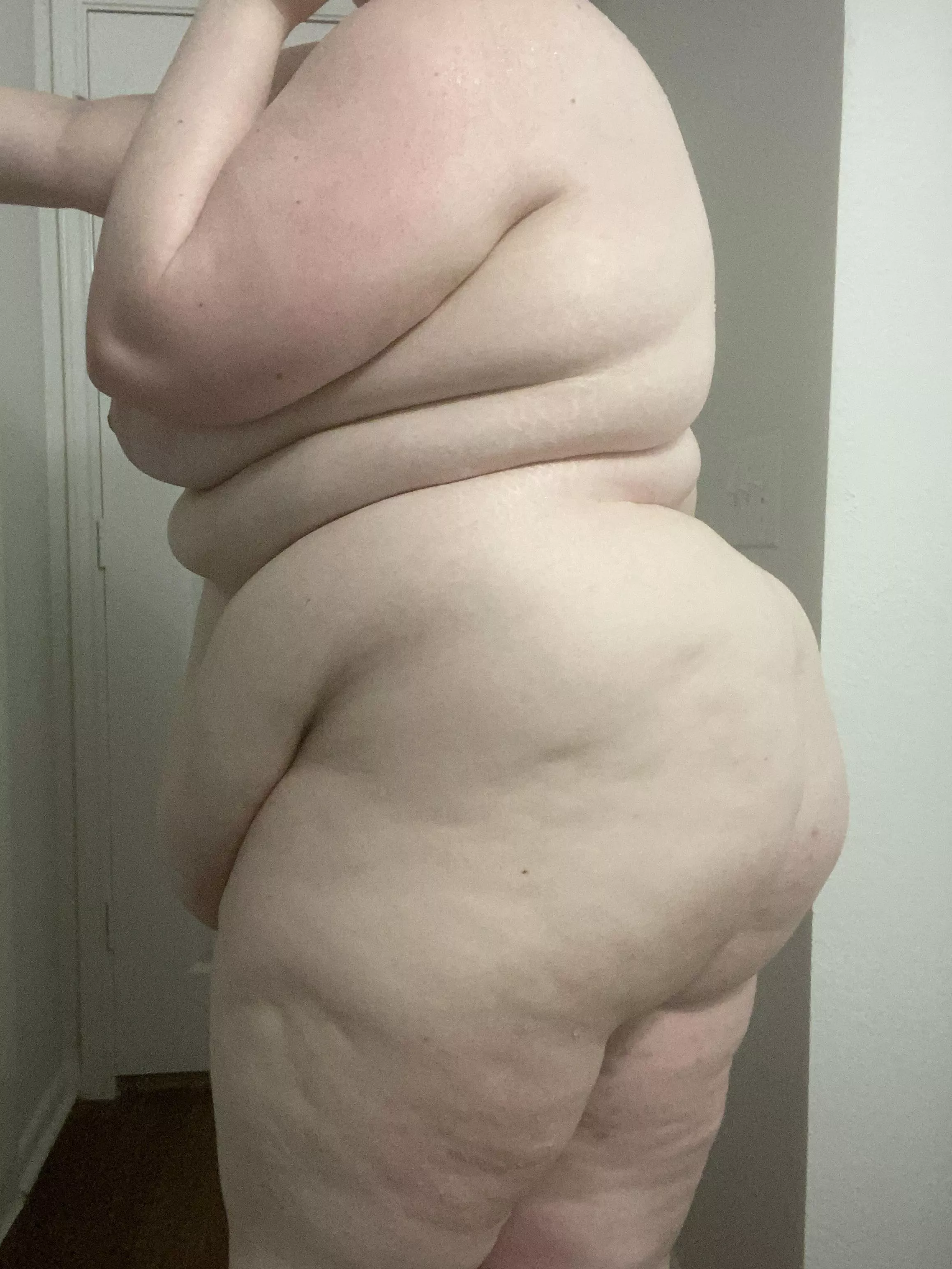 Help this fat girl get fatter? posted by SteIIarStella