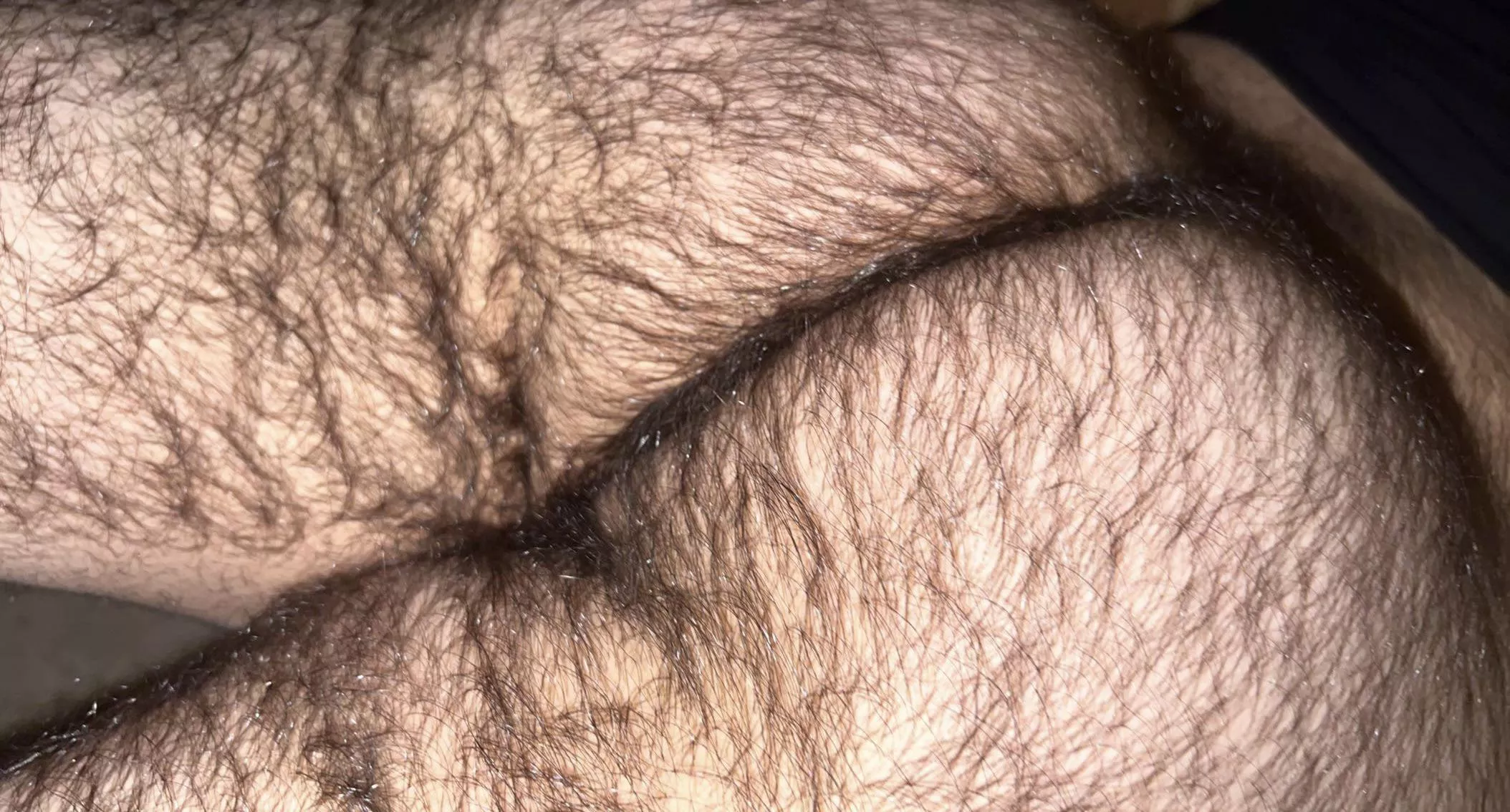 here again posted by thelastonestanding00