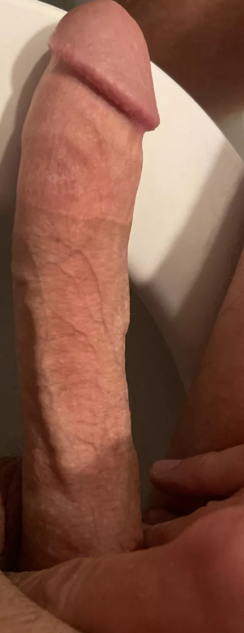 Here’s a better pic lol 😂 happy wife happy bull 7+inches Delaware by Dapper_Tumbleweed580