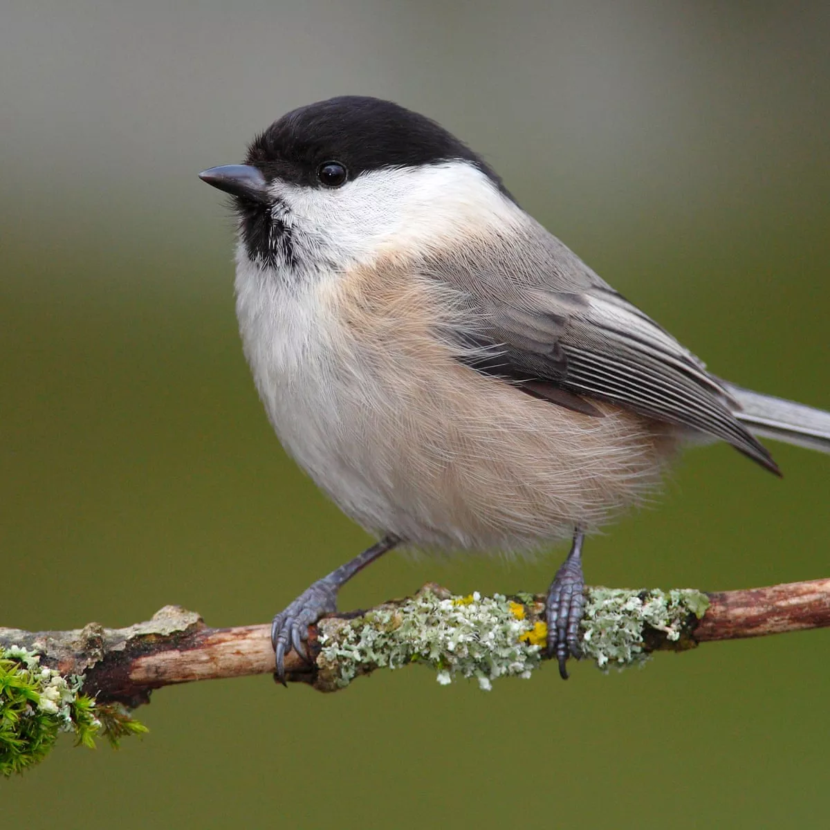 Here's a tit posted by Relative_Salary_7813