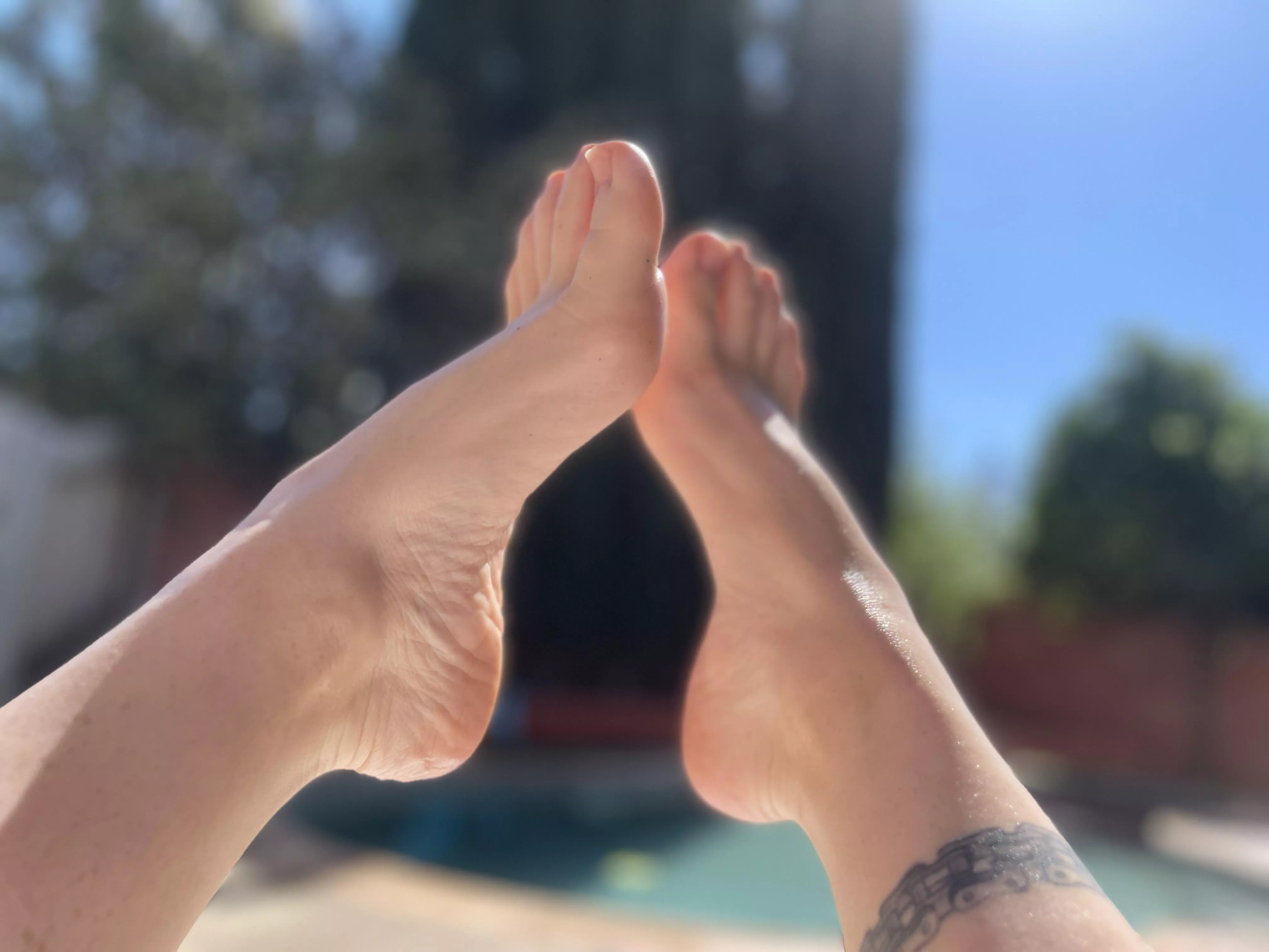 Here’s my feet today poolside tanning with some oils. Let me know if you want more! #softfeet #feet #milffeet posted by criminalmilf