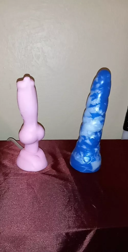 Here's the collection so far. A S/S Rex, and a S/M Mystic in Winter Wonderland. Got 2 more on the way! by norrington124