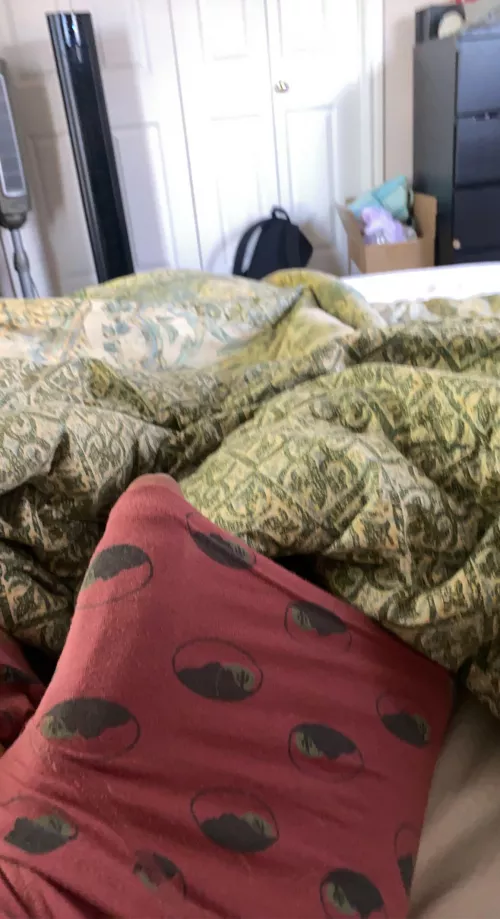 he’s poking out by Substantial_Turn_368