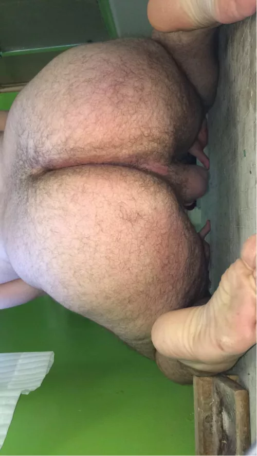 Hey by Plane_Associate3782