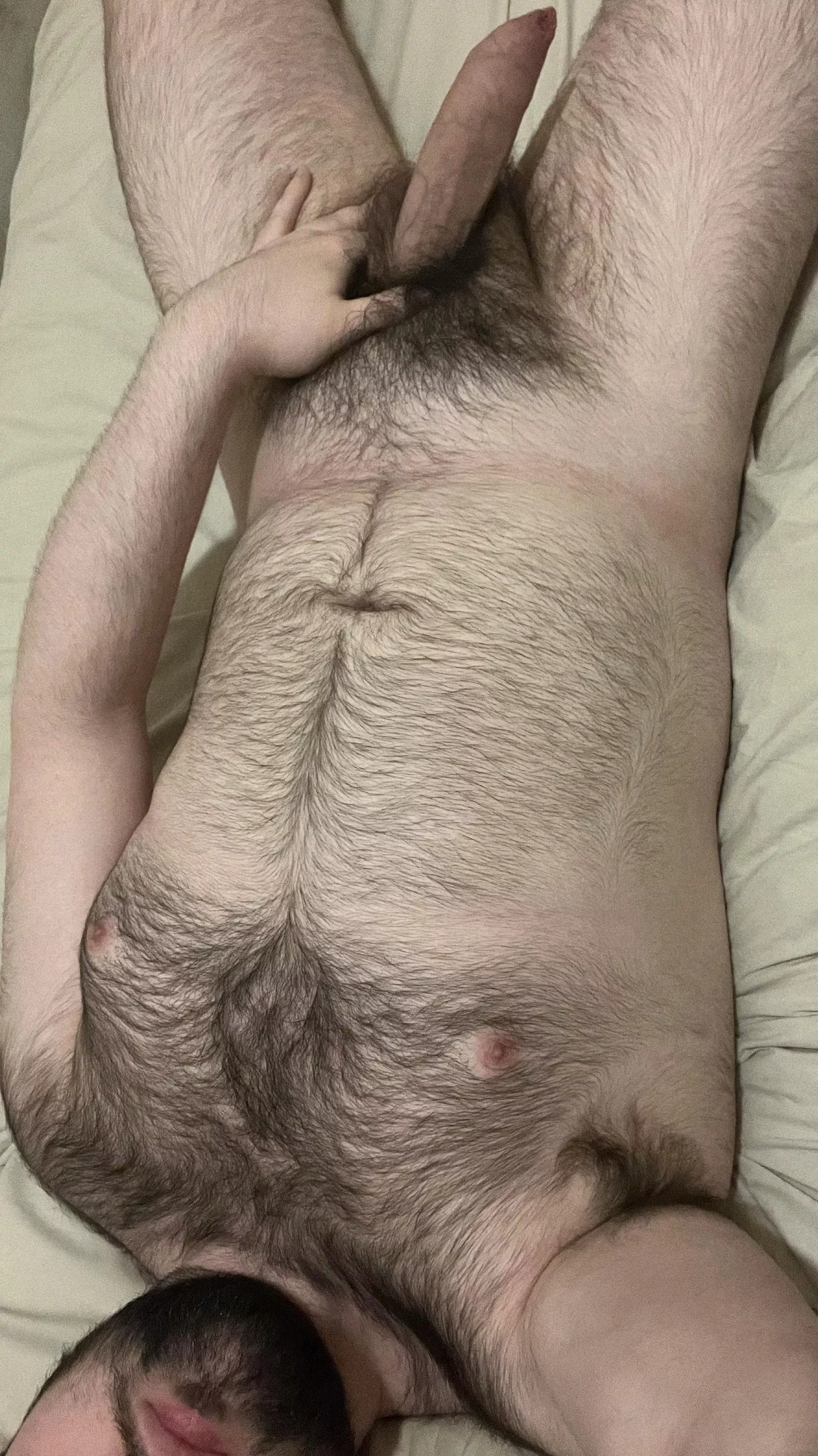 Hey boys! How’re you guys doing? 🐻 posted by AaronNotOkay